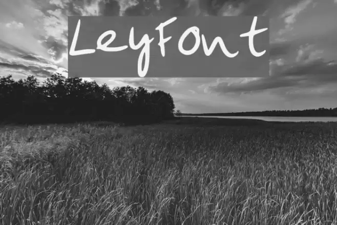 LeyFont Font examples