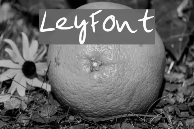 LeyFont Font examples