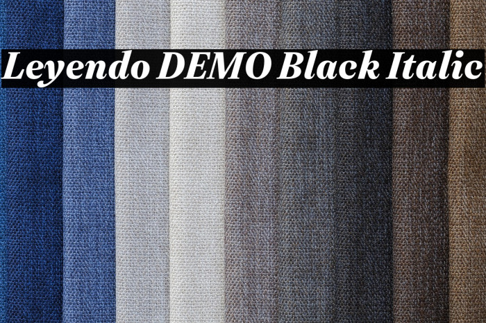 Leyendo DEMO Black Italic Example 1