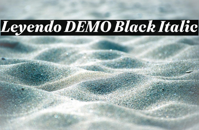 Leyendo DEMO Black Italic Example 2