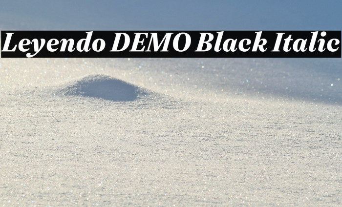 Leyendo DEMO Black Italic Example 3