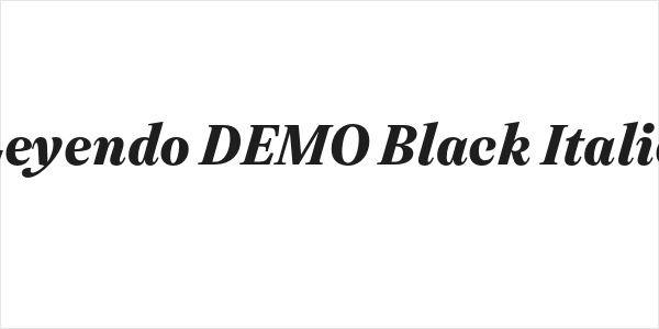 Leyendo DEMO Black Italic Logo