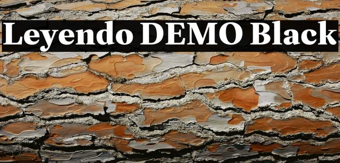 Leyendo DEMO Black Example 1