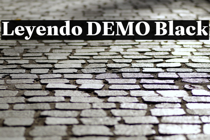 Leyendo DEMO Black Example 2