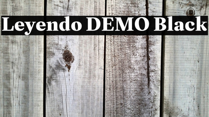 Leyendo DEMO Black Example 3