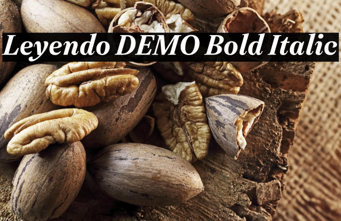 Leyendo DEMO Bold Italic Example 3