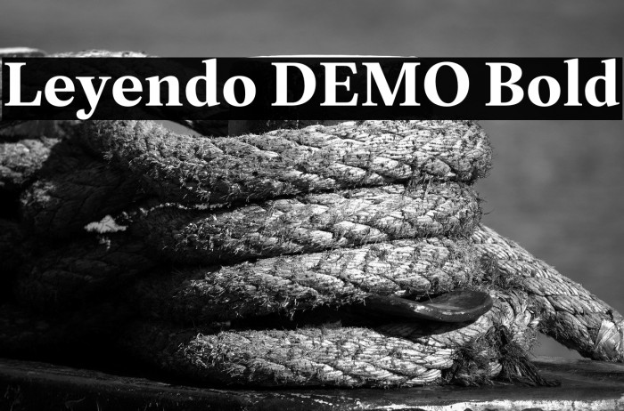 Leyendo DEMO Bold Example 1