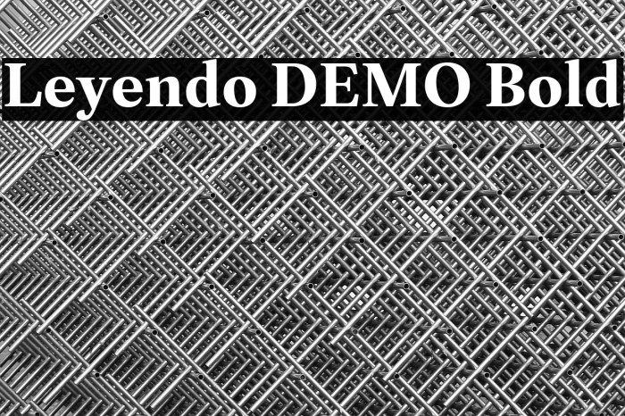 Leyendo DEMO Bold Example 2
