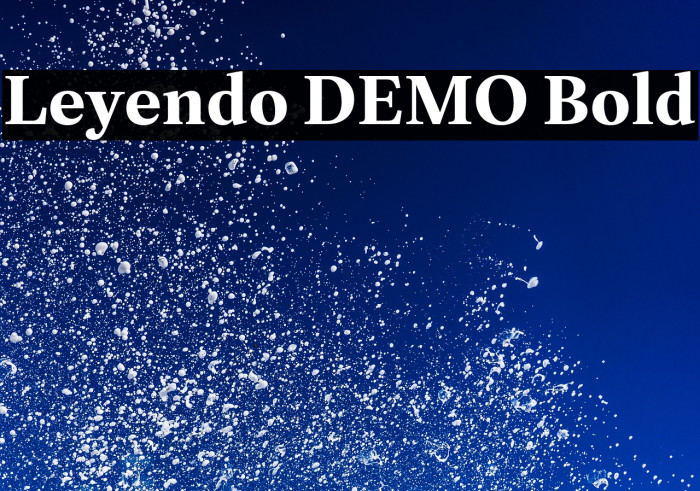 Leyendo DEMO Bold Example 3