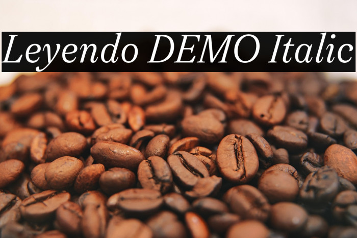 Leyendo DEMO Italic Example 1