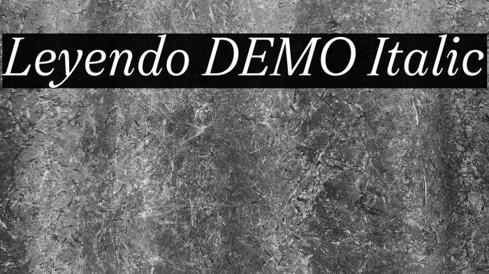 Leyendo DEMO Italic Example 3