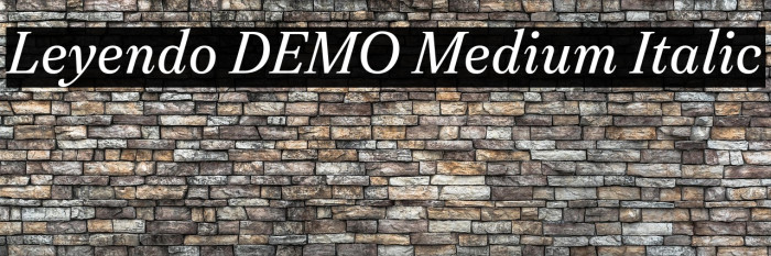 Leyendo DEMO Medium Italic Example 1