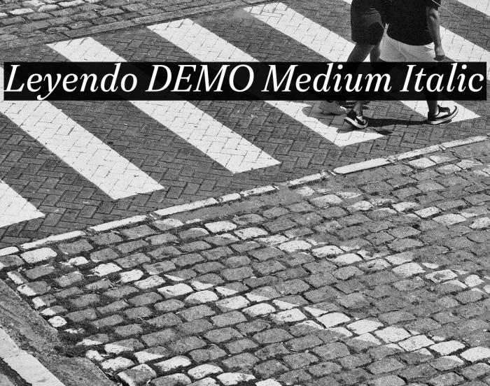 Leyendo DEMO Medium Italic Example 3