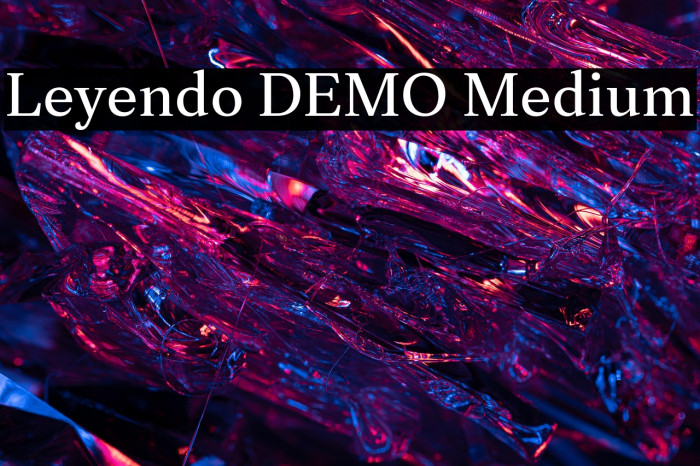 Leyendo DEMO Medium Example 2