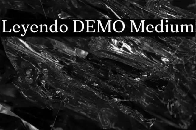 Leyendo DEMO Medium Font examples