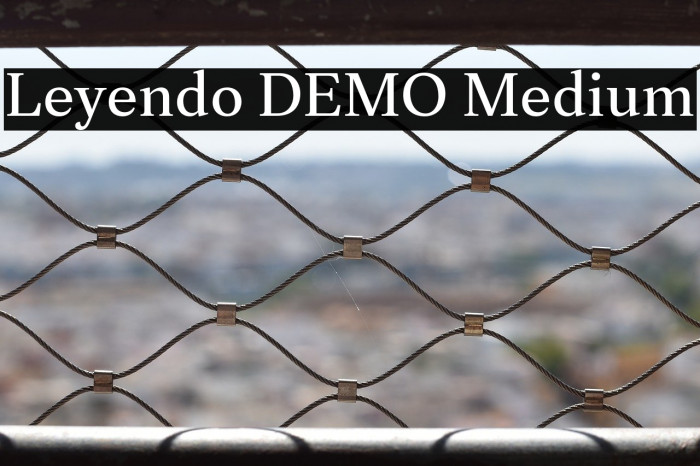 Leyendo DEMO Medium Example 3