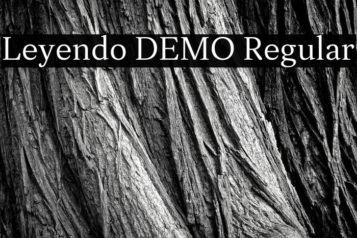 Leyendo DEMO Regular Example 1