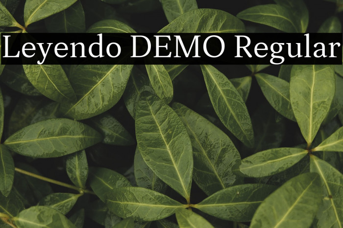 Leyendo DEMO Regular Example 3