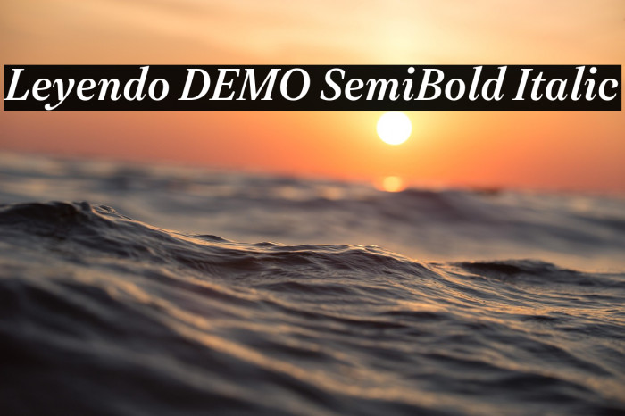 Leyendo DEMO SemiBold Italic Example 3