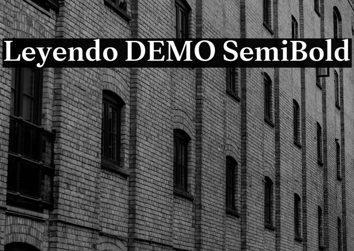 Leyendo DEMO SemiBold Example 2