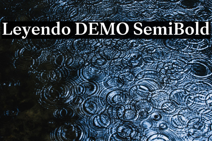 Leyendo DEMO SemiBold Example 3