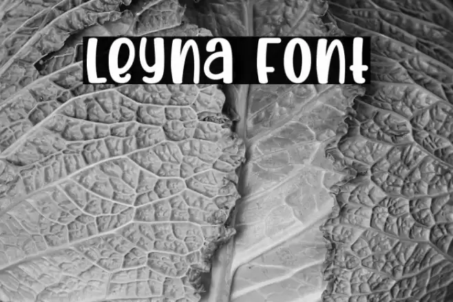 Leyna Font examples