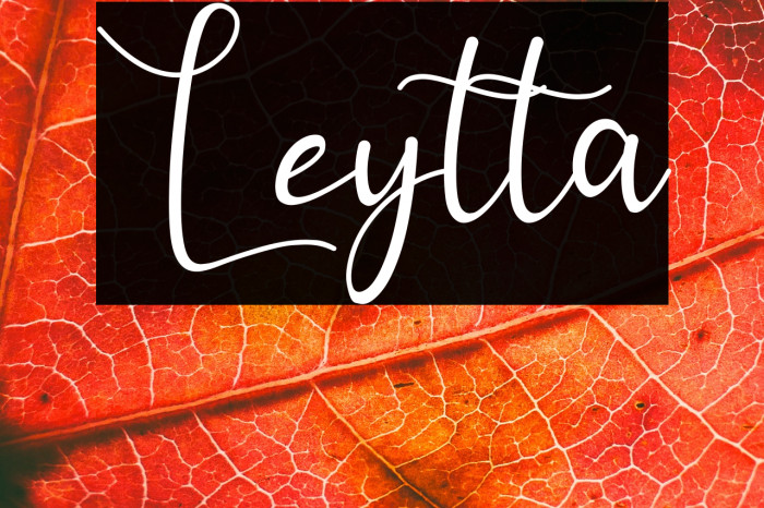 Leytta Example 1