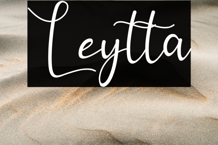 Leytta Example 2