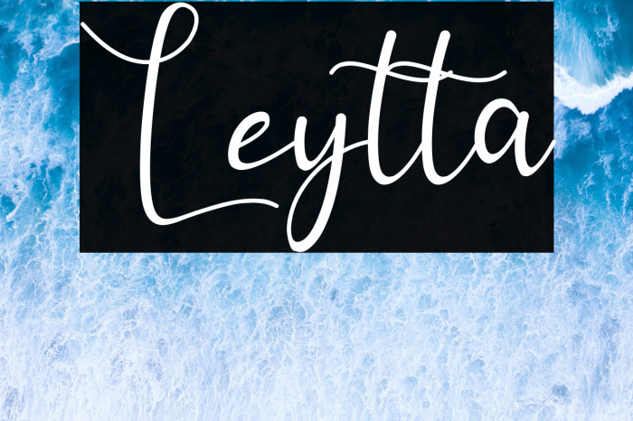 Leytta Example 3