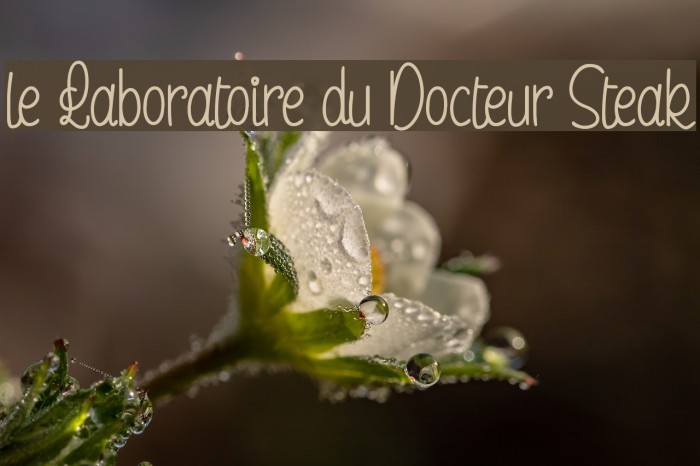 le Laboratoire du Docteur Steak Font examples