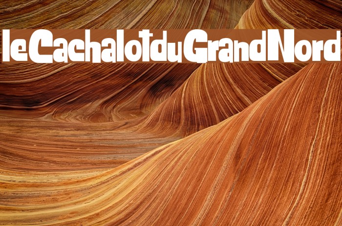 leCachalotduGrandNord Font examples