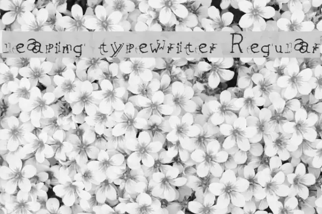 leaping typewriter Regular Font examples