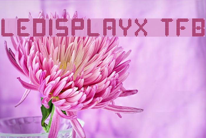 ledisplayx tfb Schriftart examples