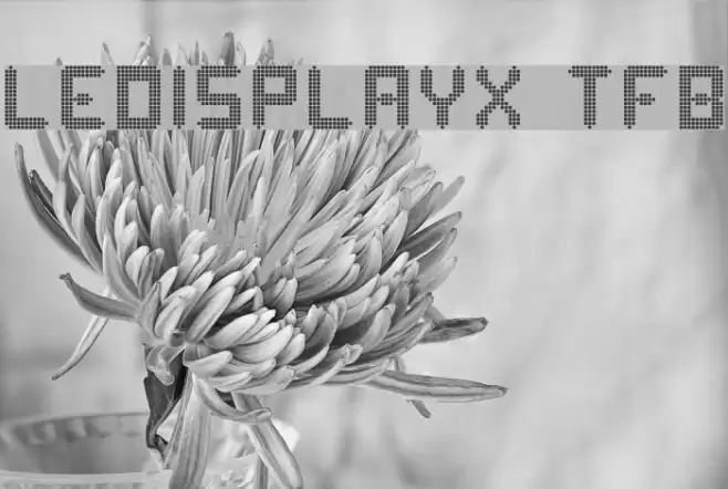 ledisplayx tfb Schriftart examples