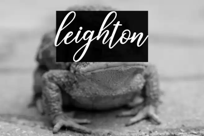 leighton Font examples