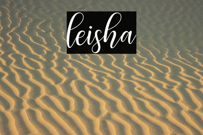 leisha Example 1