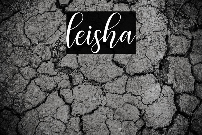 leisha Example 2