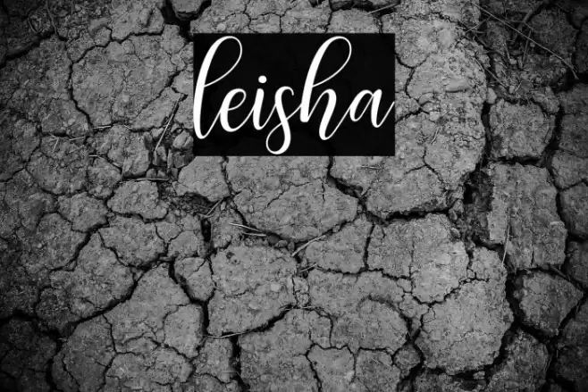 leisha Font examples