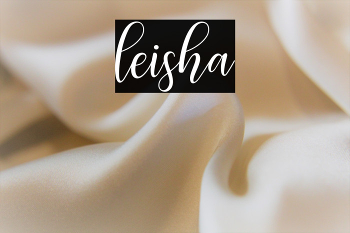 leisha Example 3
