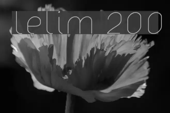 lelim 200 Font examples