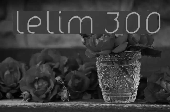 lelim 300 Font examples