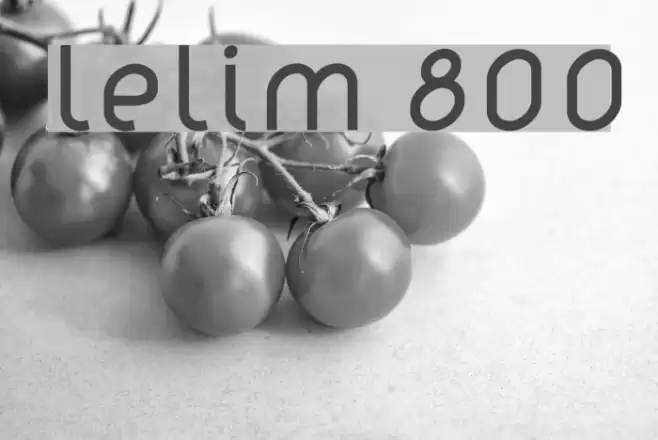 lelim 800 Font examples