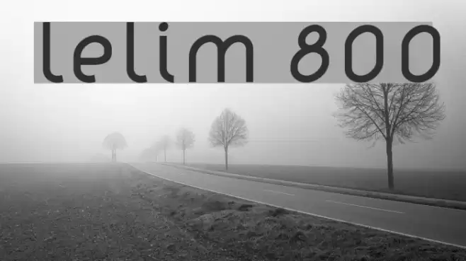 lelim 800 Font examples