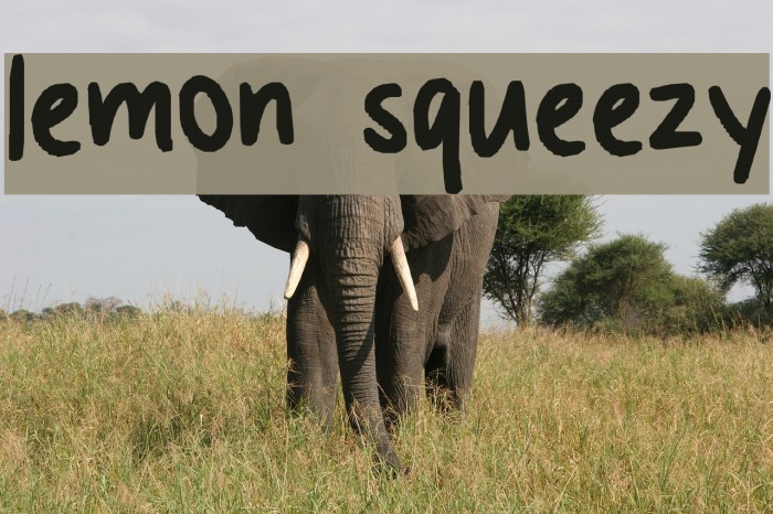 lemon squeezy Font examples