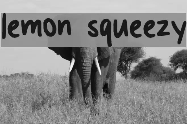lemon squeezy Font examples