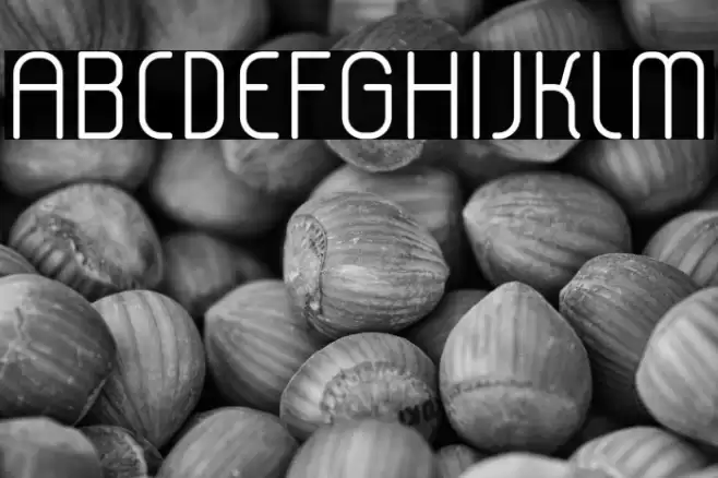 lerotica-semilight Font examples