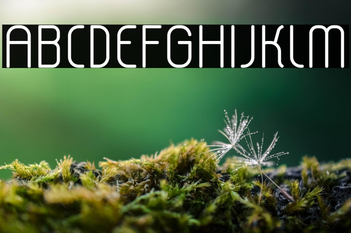 lerotica-semilight Example 2