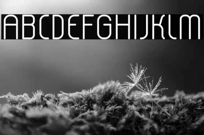 lerotica-semilight Font examples