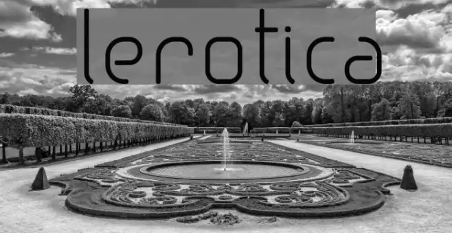 lerotica Example 1