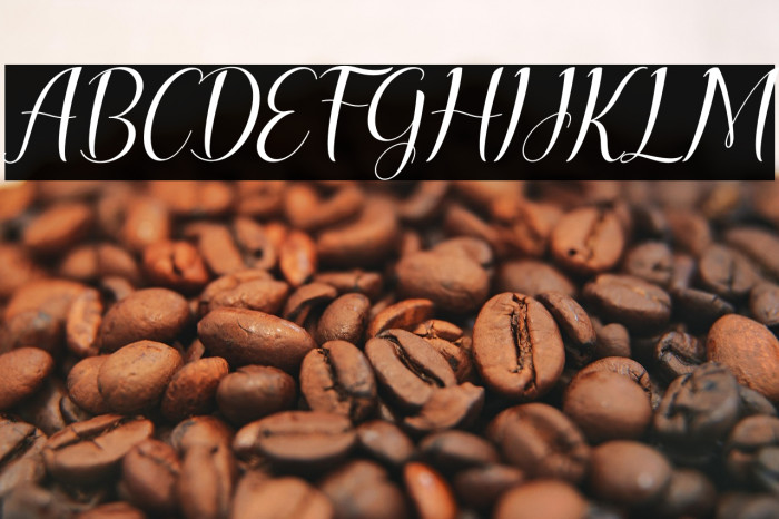 lesley lovely Italic Example 1